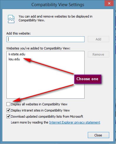 Internet Explorer 10 Compatibility Settings