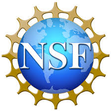 NSF image