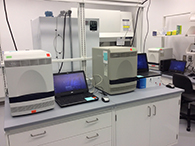 Thermo cyle machines perform COVID-19 PCR tests.