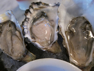 raw oysters