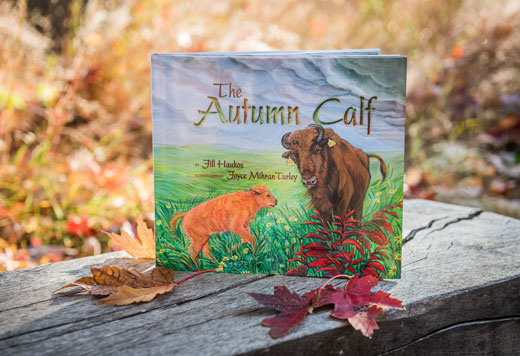 "The Autumn Calf"