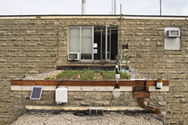 Seaton Hall green roof project