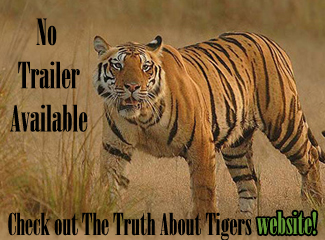No Trailer Available