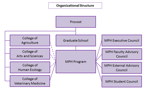 organizational structure chart