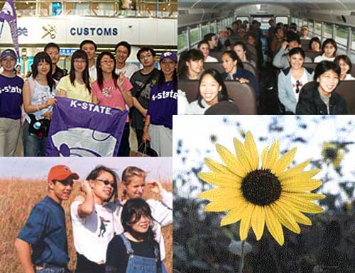 Collage of pictures from customs to Manhattan