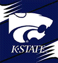 Wildcat