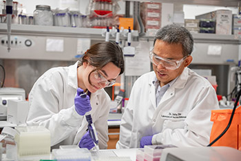 An undergraduate researcher works in a laboratory.