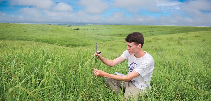 Researchers study on the Konza Prairie Biological Station. 