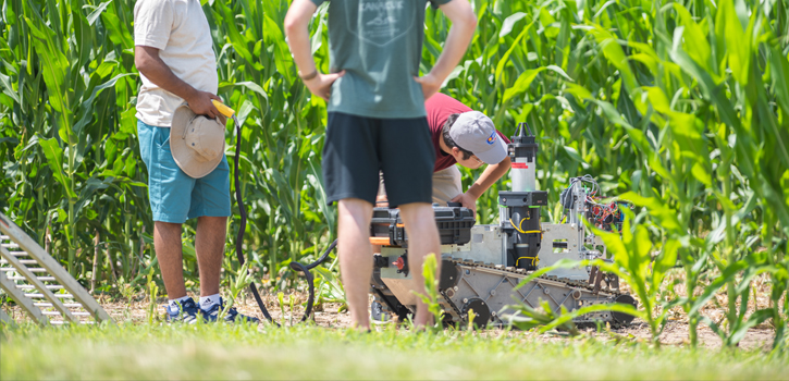 Agricultural robot enters field for research study. 