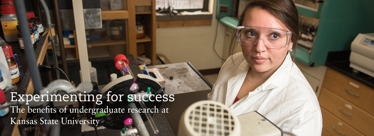 Experimenting for success