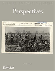Fall 2015 Perspectives magazine cover