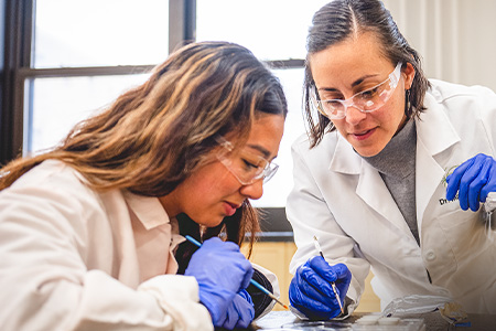 Maria Diehl, right, and sophomore Maya Anchondo, left, study brain circuits that regulate fear and avoidance behaviors.