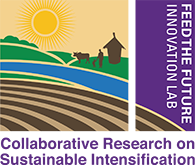 Feed the Future Innovation Lab: Collaborative Research on Sustainable Intensification
