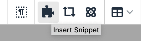 Insert Snippet icon