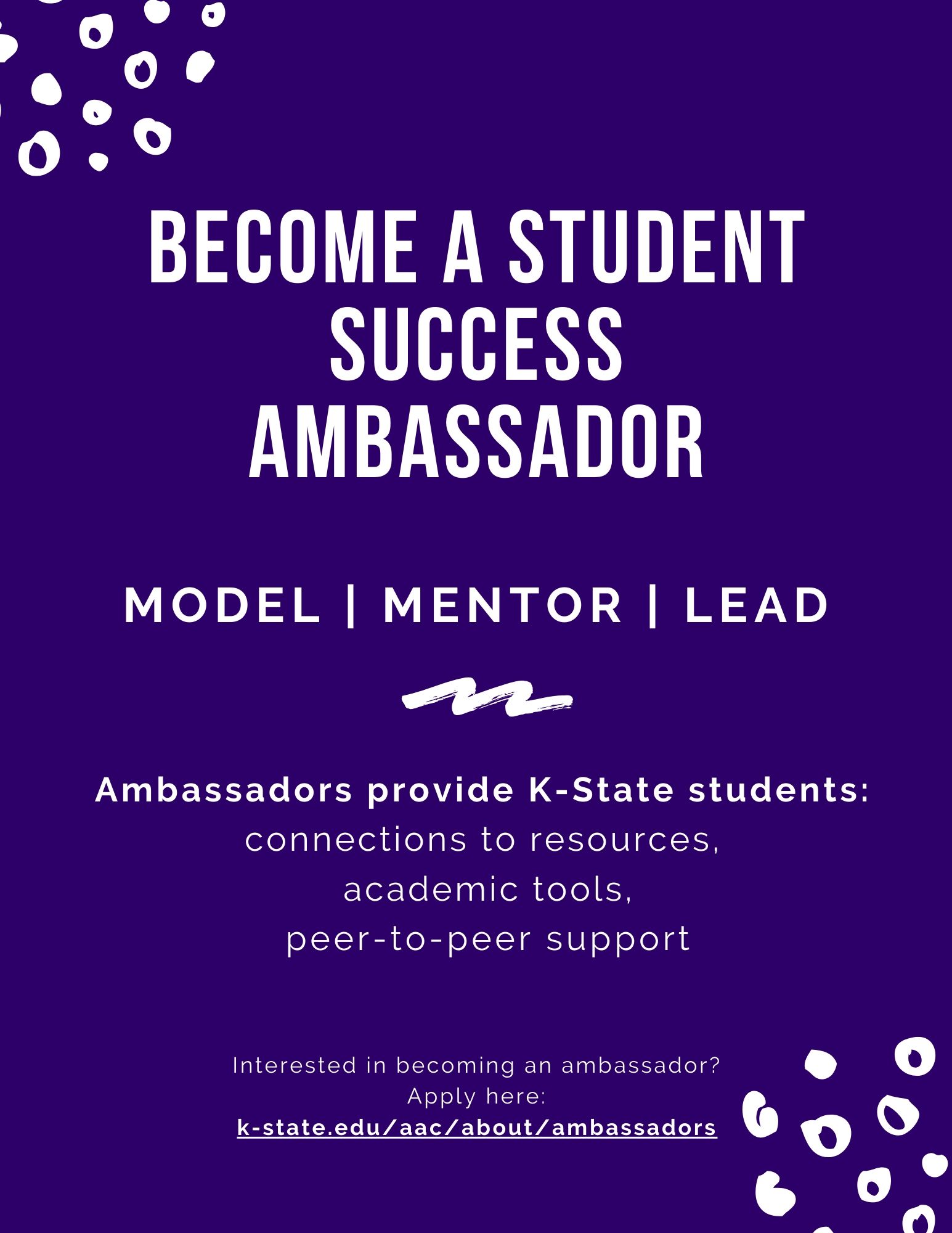 ambassador Flyer