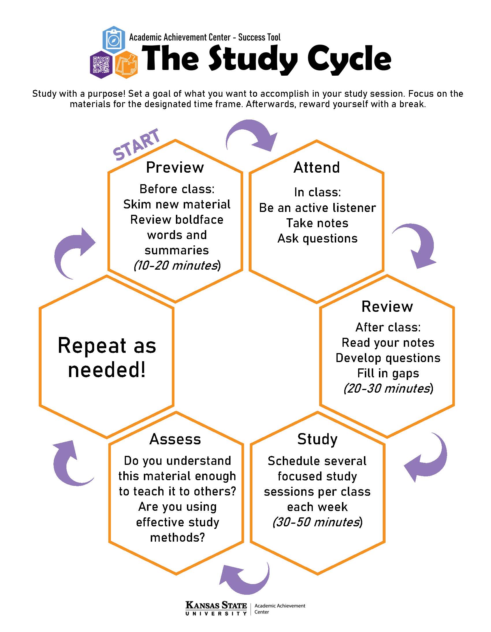 The Study Cycle