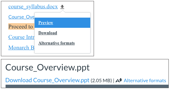 Two examples from Canvas showing where users can find alternative file formats. The first shows a drop-down menu with 'Preview,' 'Download,' and 'Alternative formats.' The second shows a direct link to 'Alternative formats' next to a file size.