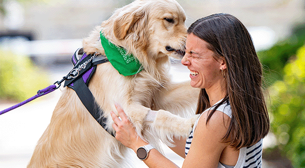 Oakley the Therapy Dog greets a student with kisses