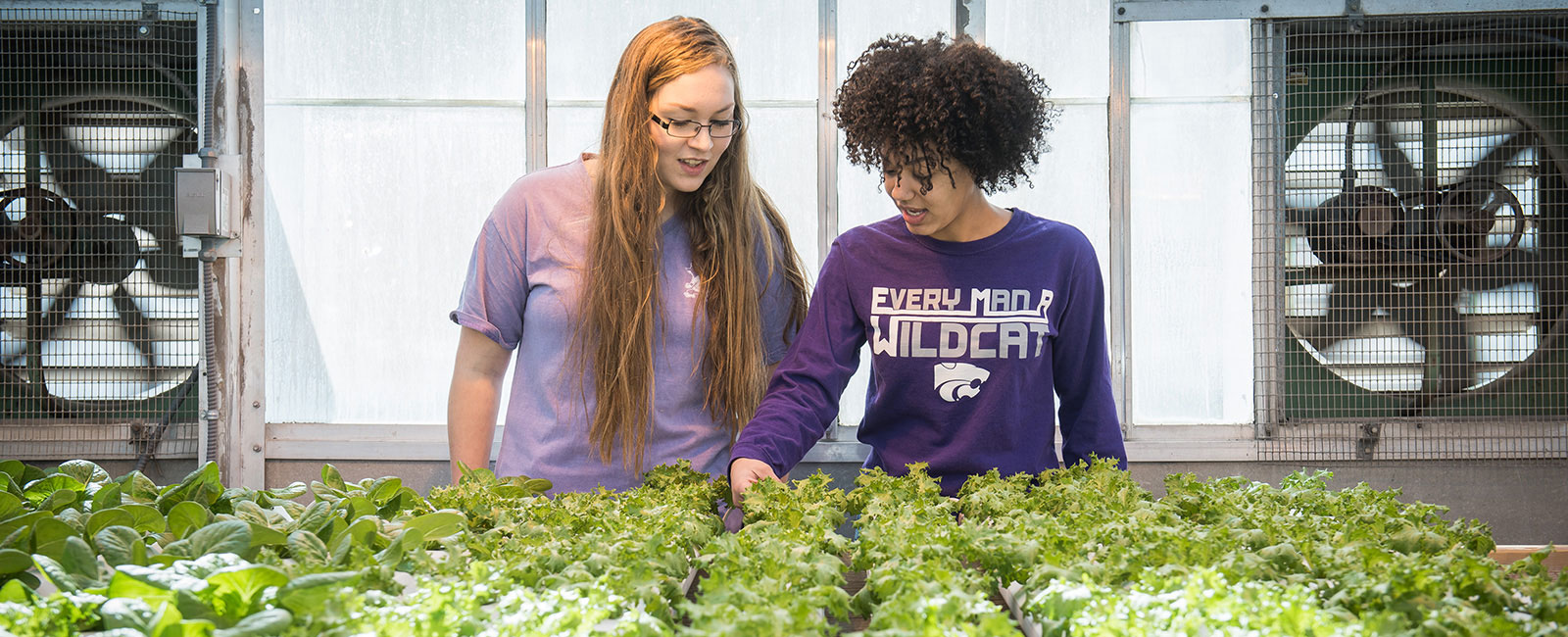 Two female agriculture students working in a greenhouse.