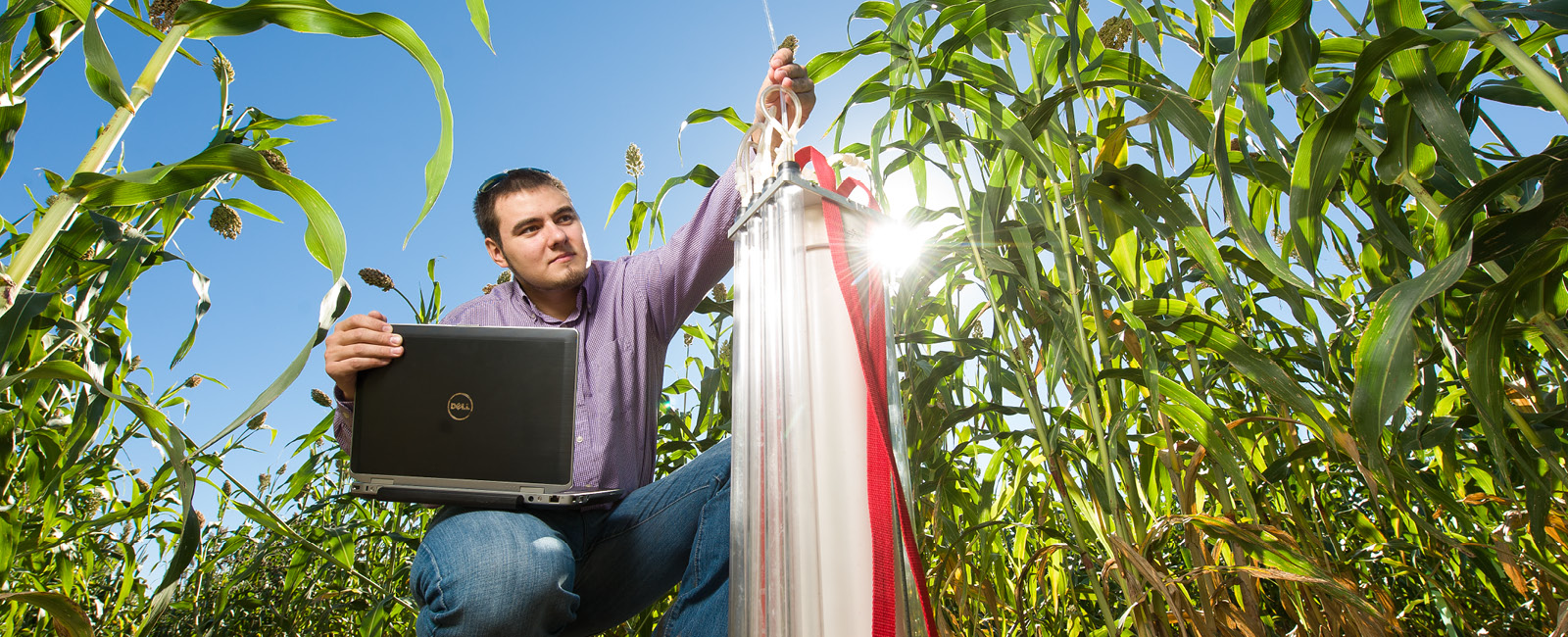 Agriculture student working in field