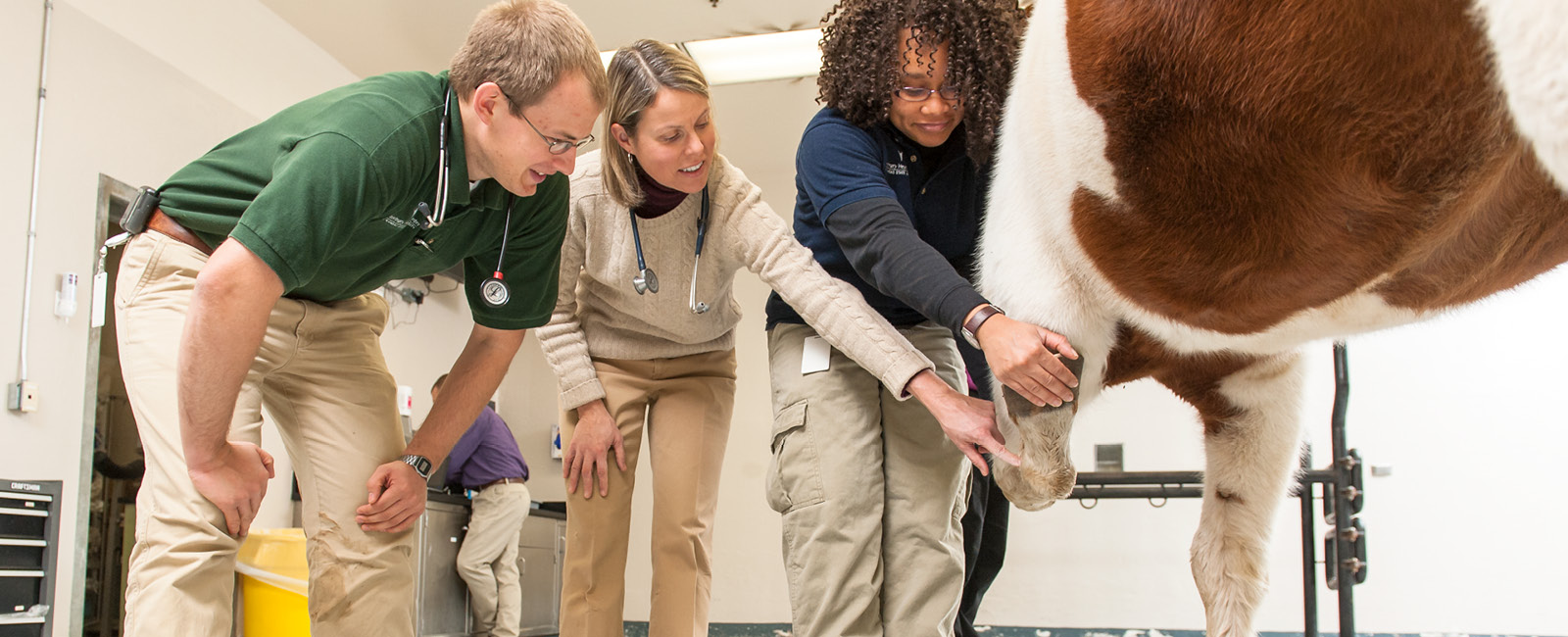 Students working with animals