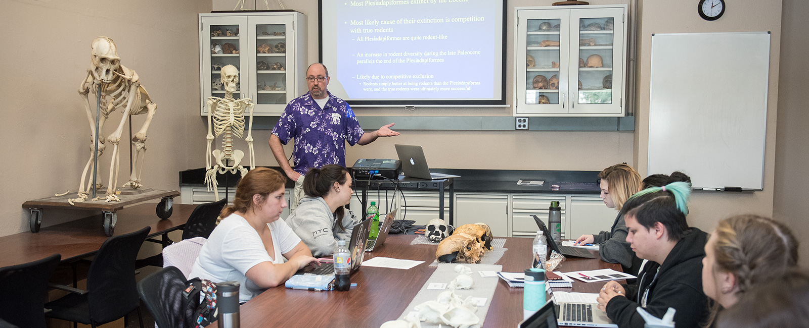 Students studying anthropology