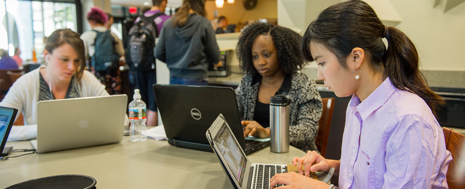 Students studying on laptops