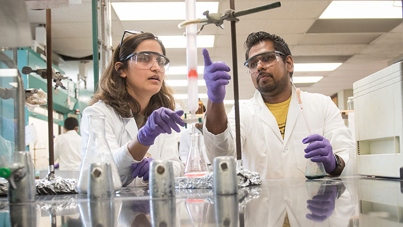 Students working in science lab