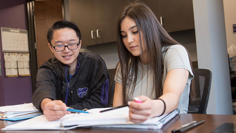 An advisor and student looking at a notebook of options together