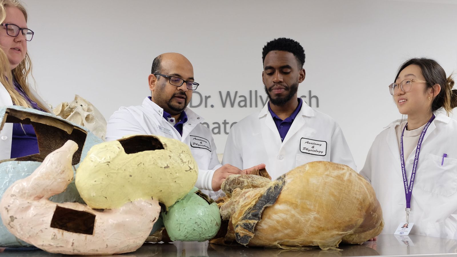 Image of veterinary biomedial student in the lab.