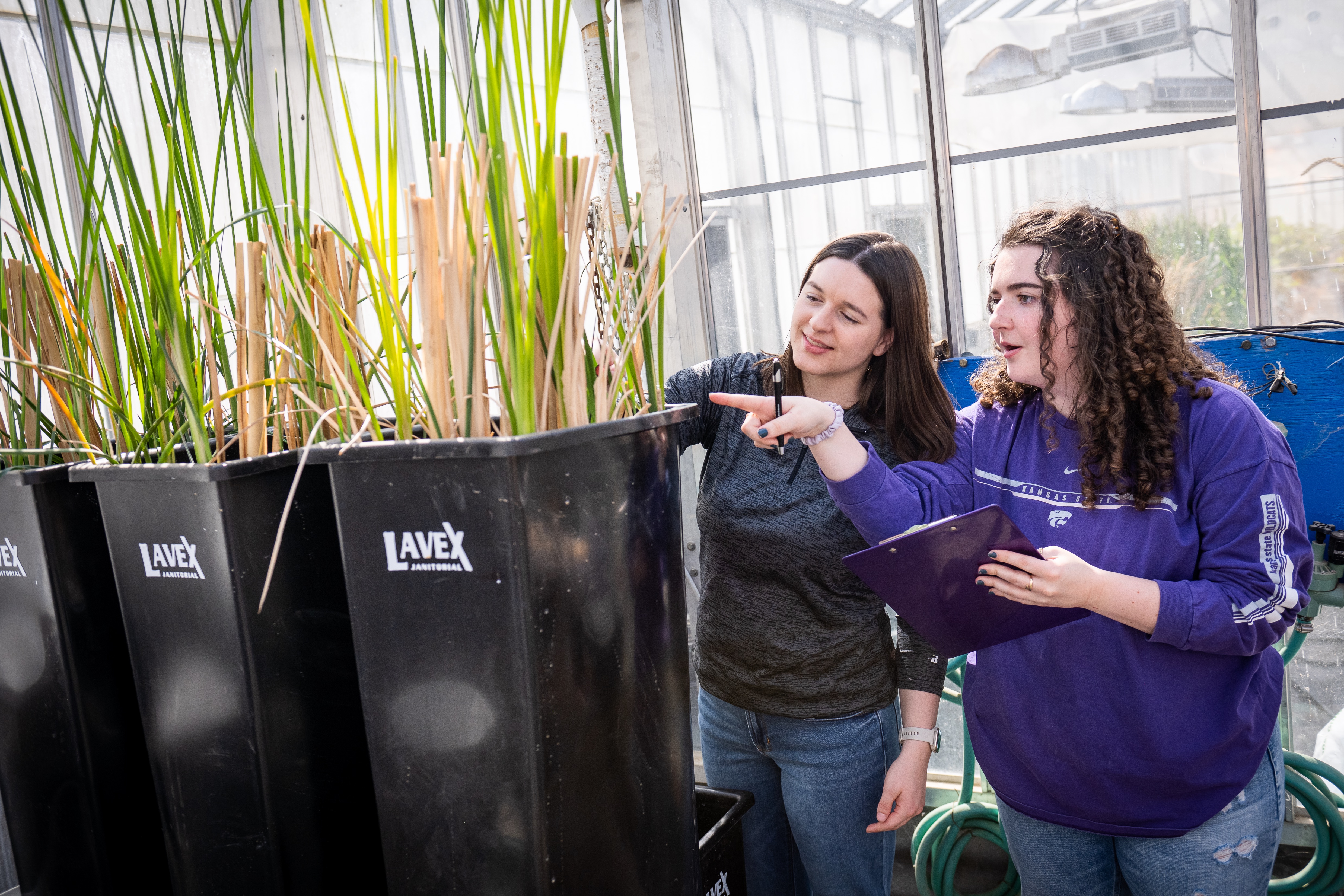 Students in greenhouse examining plant
