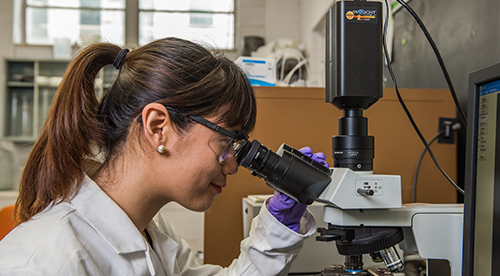 Graduate student in a research lab