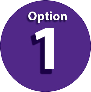 Option 1 icon
