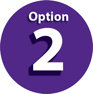 Option 2 icon
