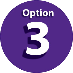 Option 3 icon