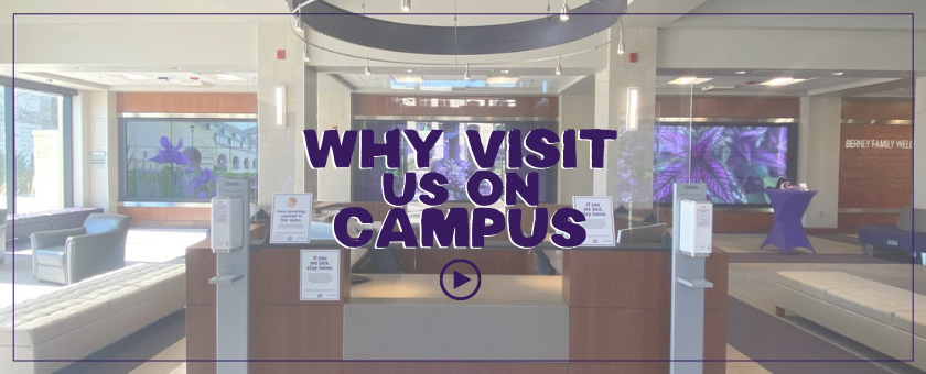Why Visit