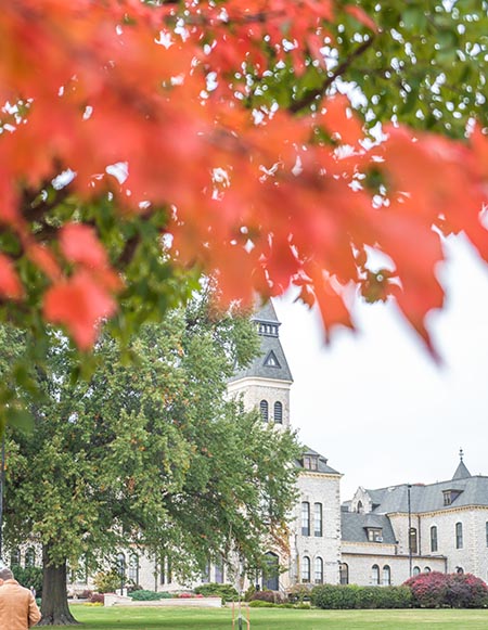 Autumn leaves near Anderson Hall
