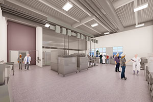 Global Center for Grain and Food Innovation