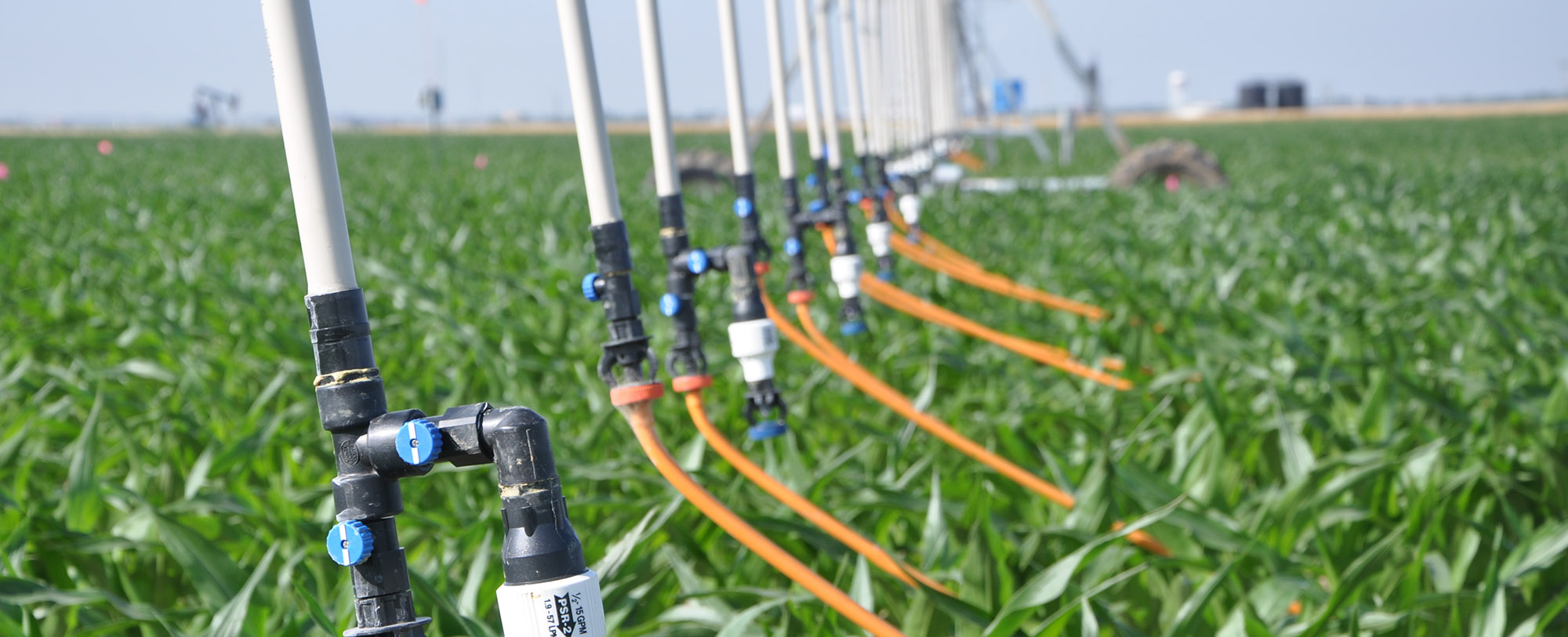 Agriculture Innovation Initiative