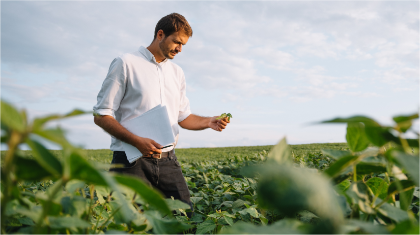 Guy in field