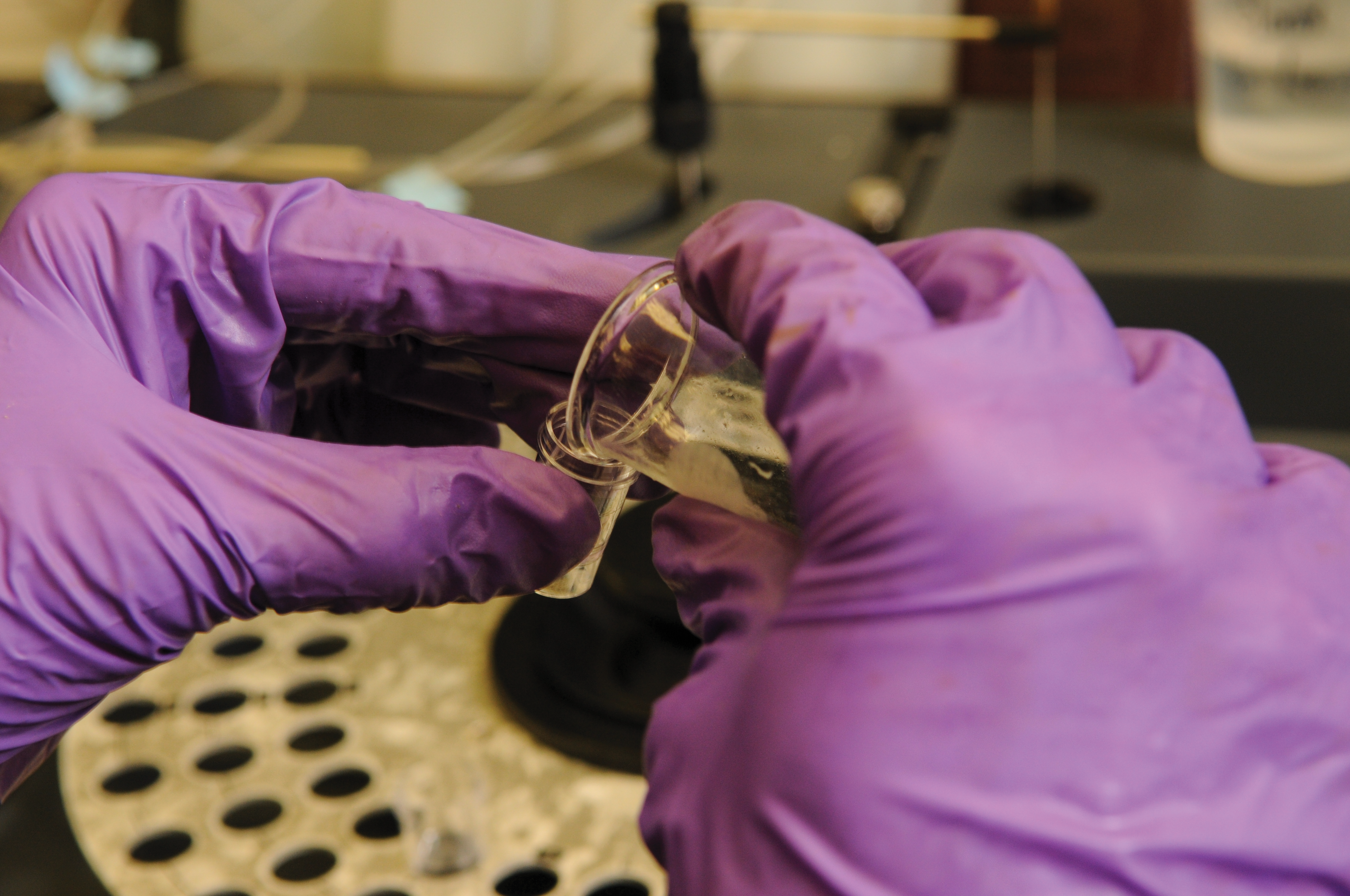 Purple gloves in the soil lab