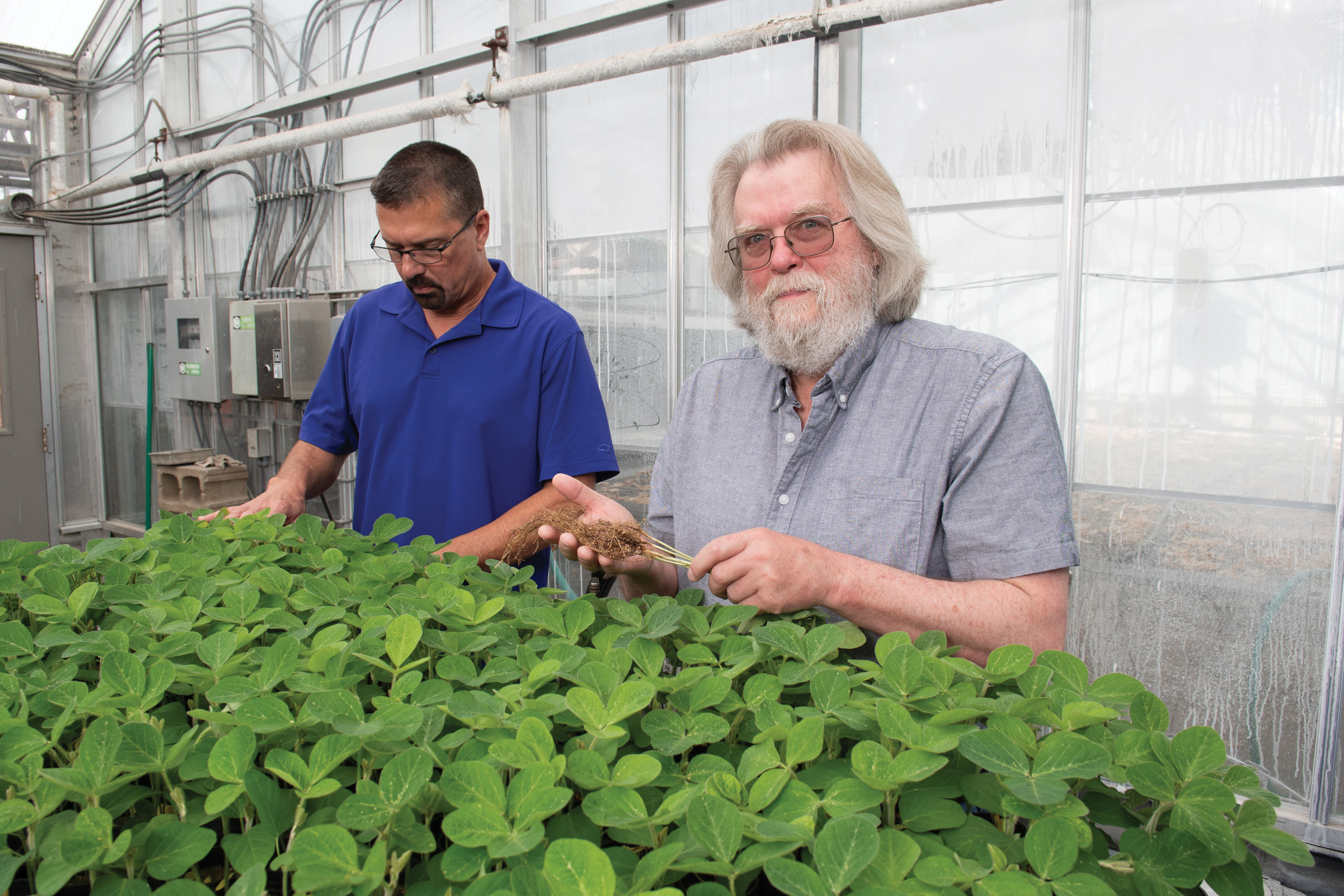 Tom Oakley and Tim Todd in the Throckmorton Hall Greenhouse