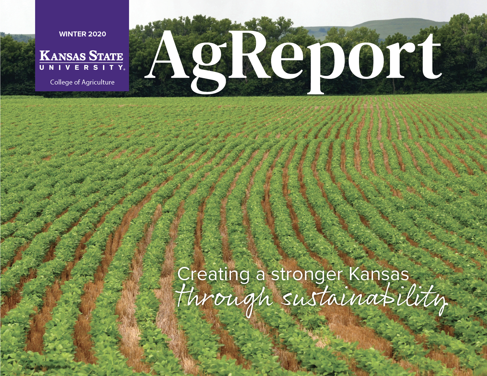 agreport winter 2020 cover