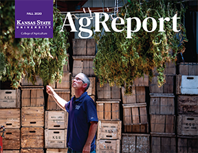 Cover of Fall 2020 AgReport