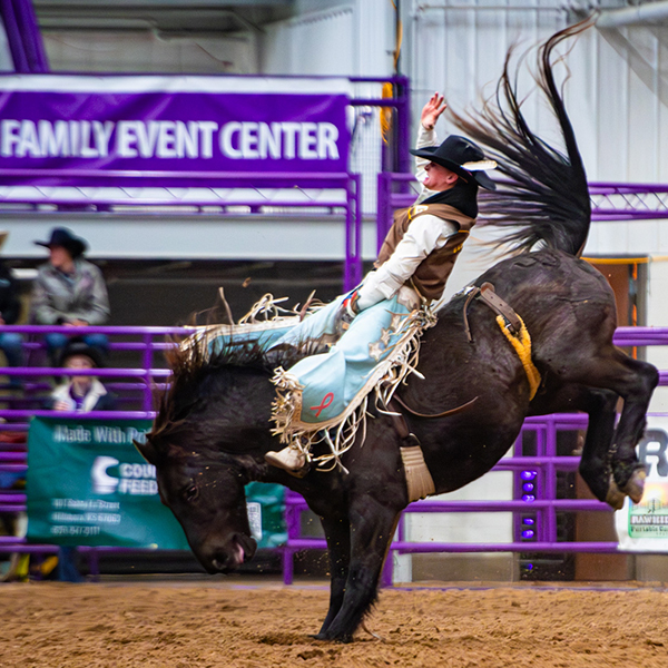 a rodeo competitor on a bucking horse