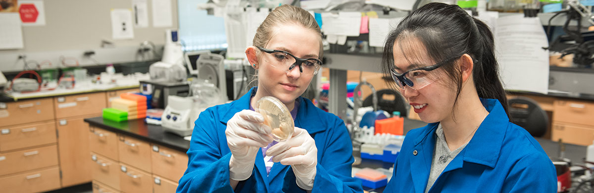 Two researchers in the Biosecurity Research Center