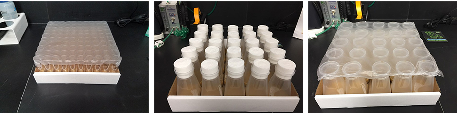 Fly Food Bottles
