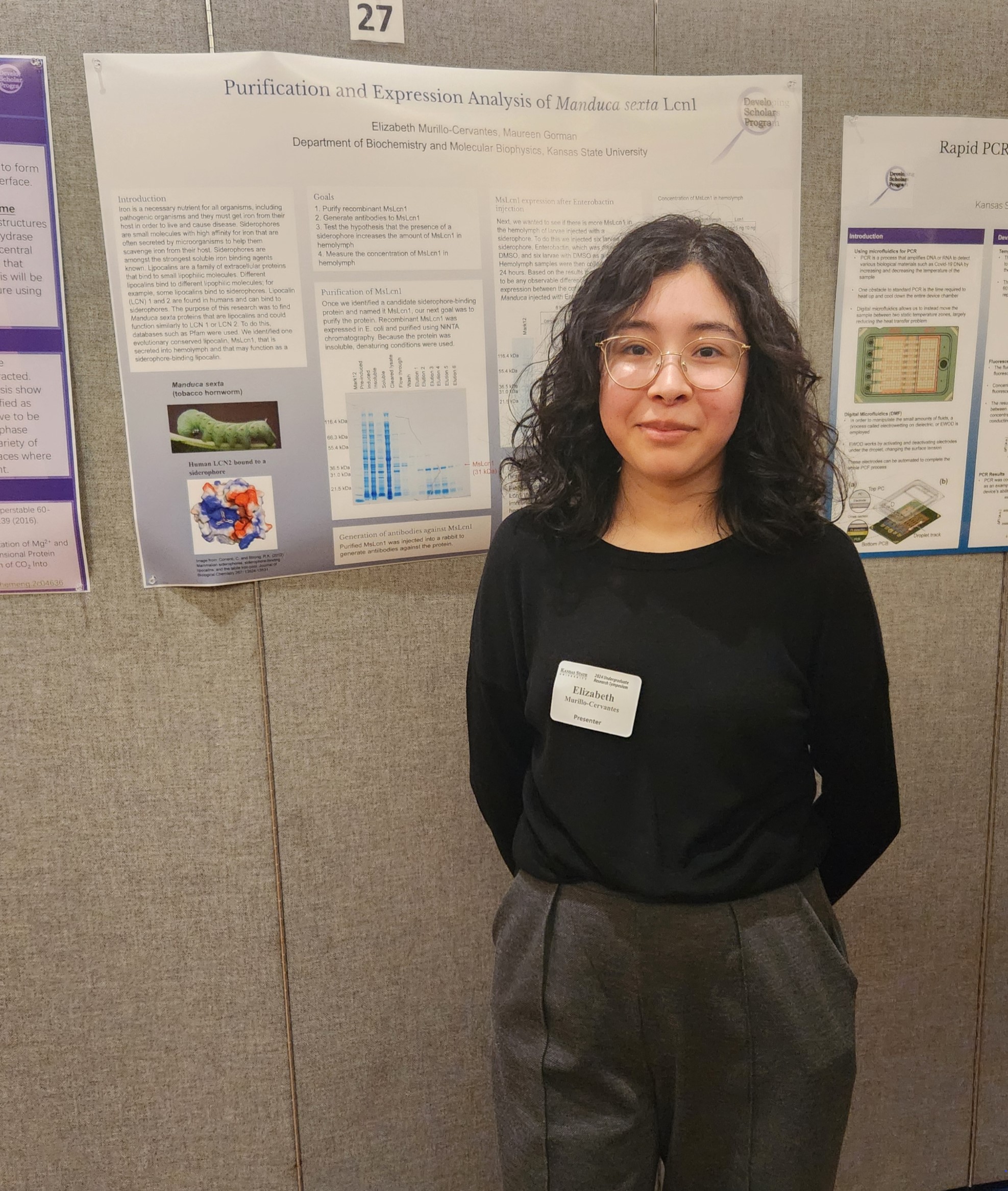 Elizabeth undergrad poster presentation