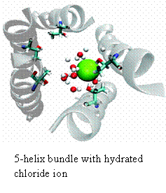 5-helix bundle with hydrated chloride ion
