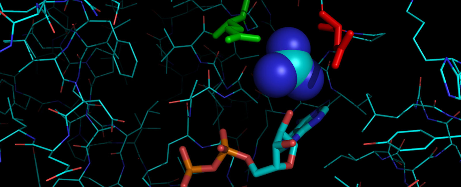 ClpB structure